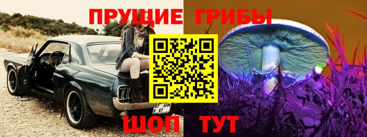 Псилоцибиновые грибы MAGIC MUSHROOMS Пенза