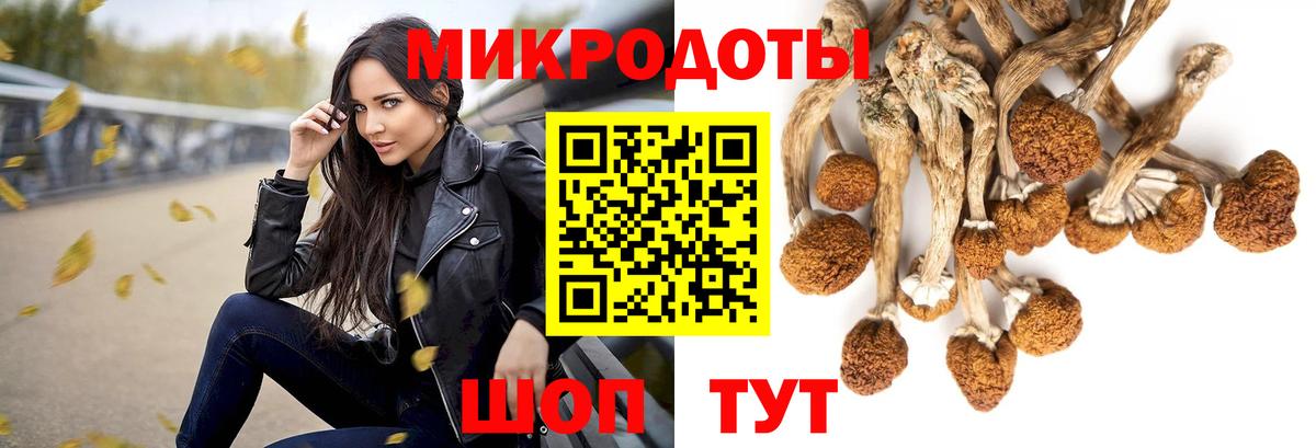 Псилоцибиновые грибы Magic Shrooms  Вход с VPN  Пенза 
